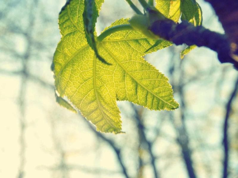 Class of 2022 Group Photo